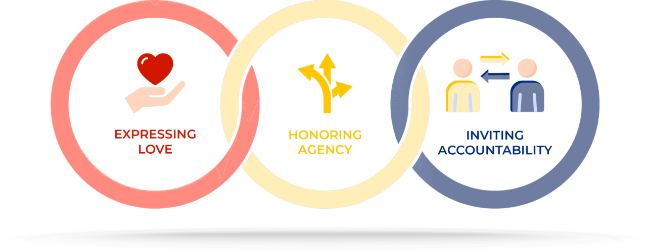 three governing principles@2x